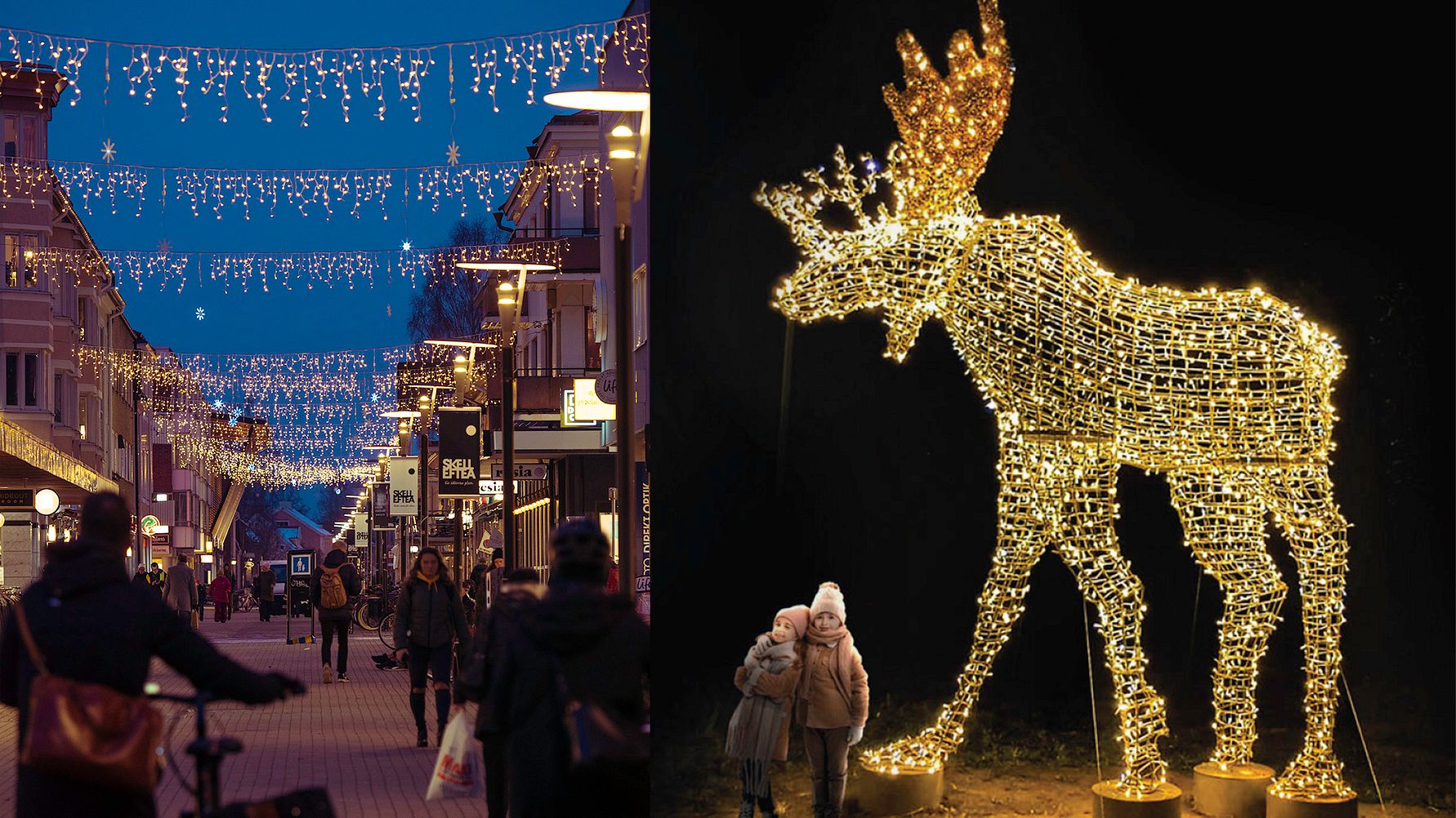 Light festival transforms Skellefteå city center – Crystal chandelier and moose illuminate Skellefteå