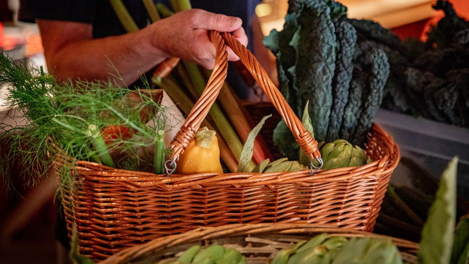 Falkenberg Food Days become a harvest journey!